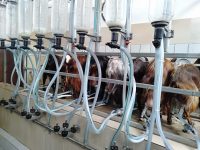 WhatsApp Image 2019-09-09 at 23.27.39 (1)