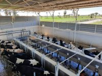 WhatsApp Image 2020-05-10 at 17.44.25