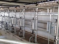 WhatsApp Image 2020-06-14 at 22.19.45 (1)