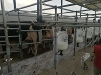 WhatsApp Image 2020-06-14 at 22.22.19